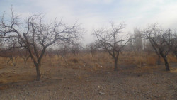 Турак жай эмес