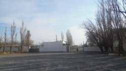 Турак жай эмес