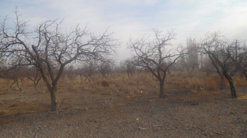 Турак жай эмес